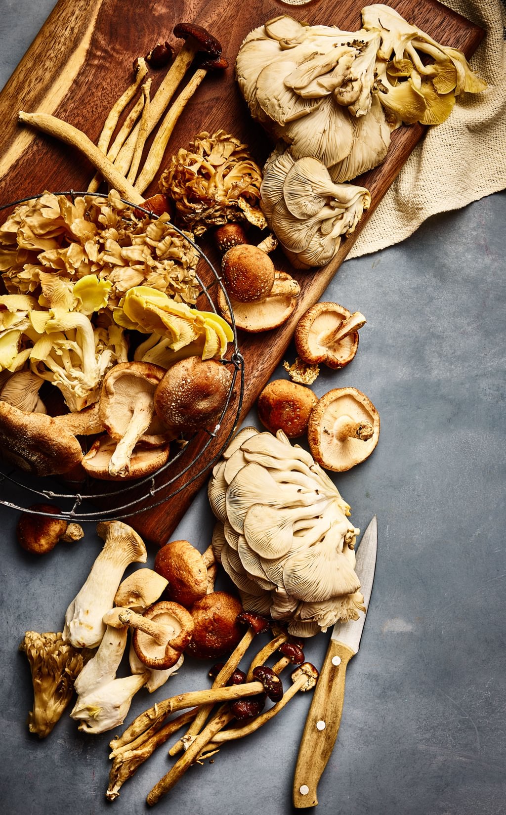 Mushrooms for the Mind