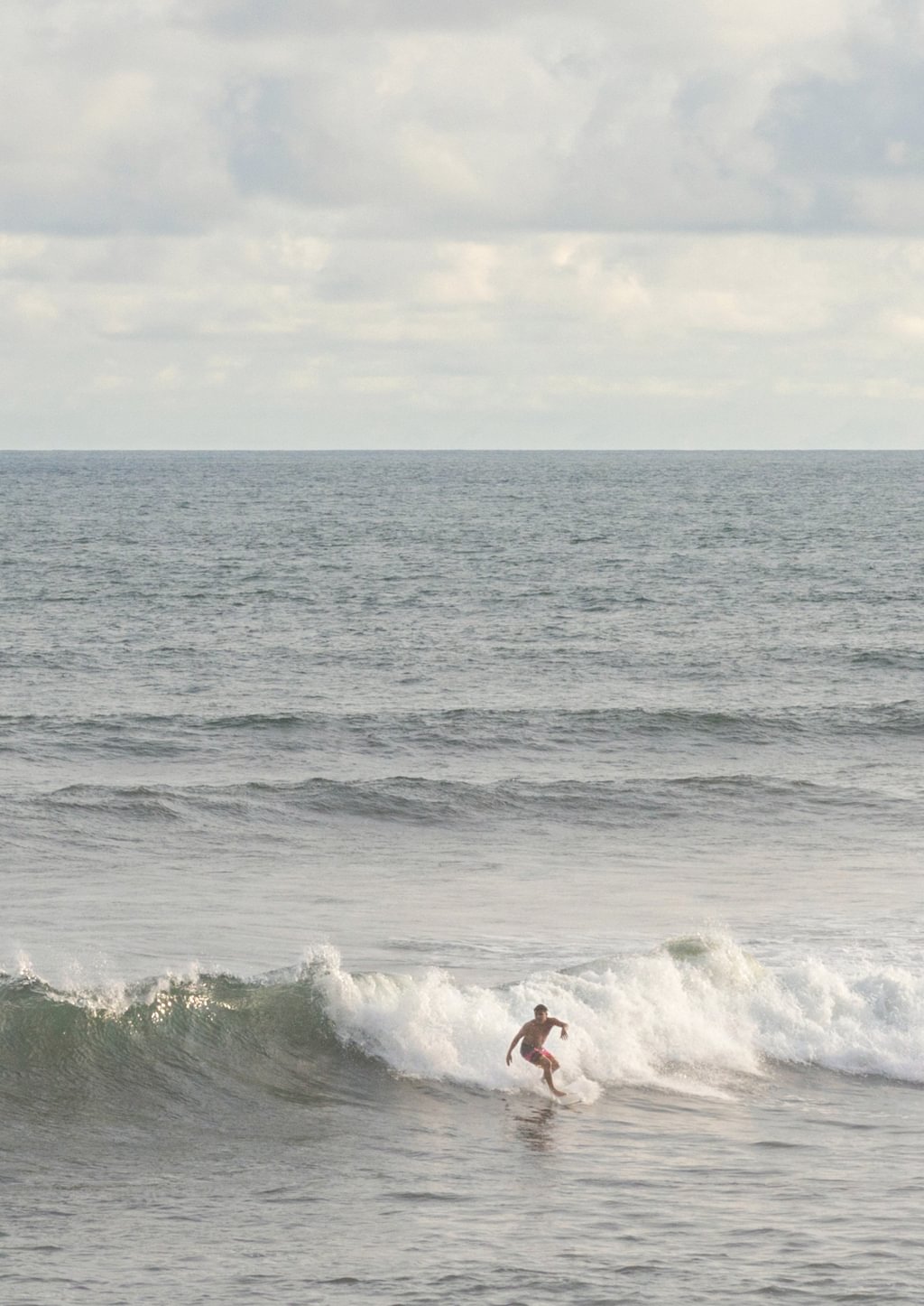 Surf’s Up