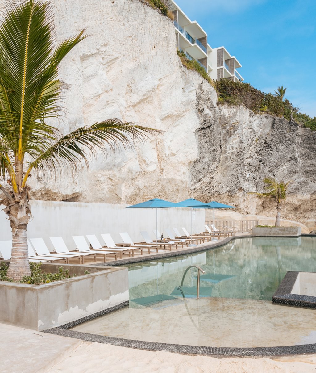 BERMUDA'S FRESH FACE