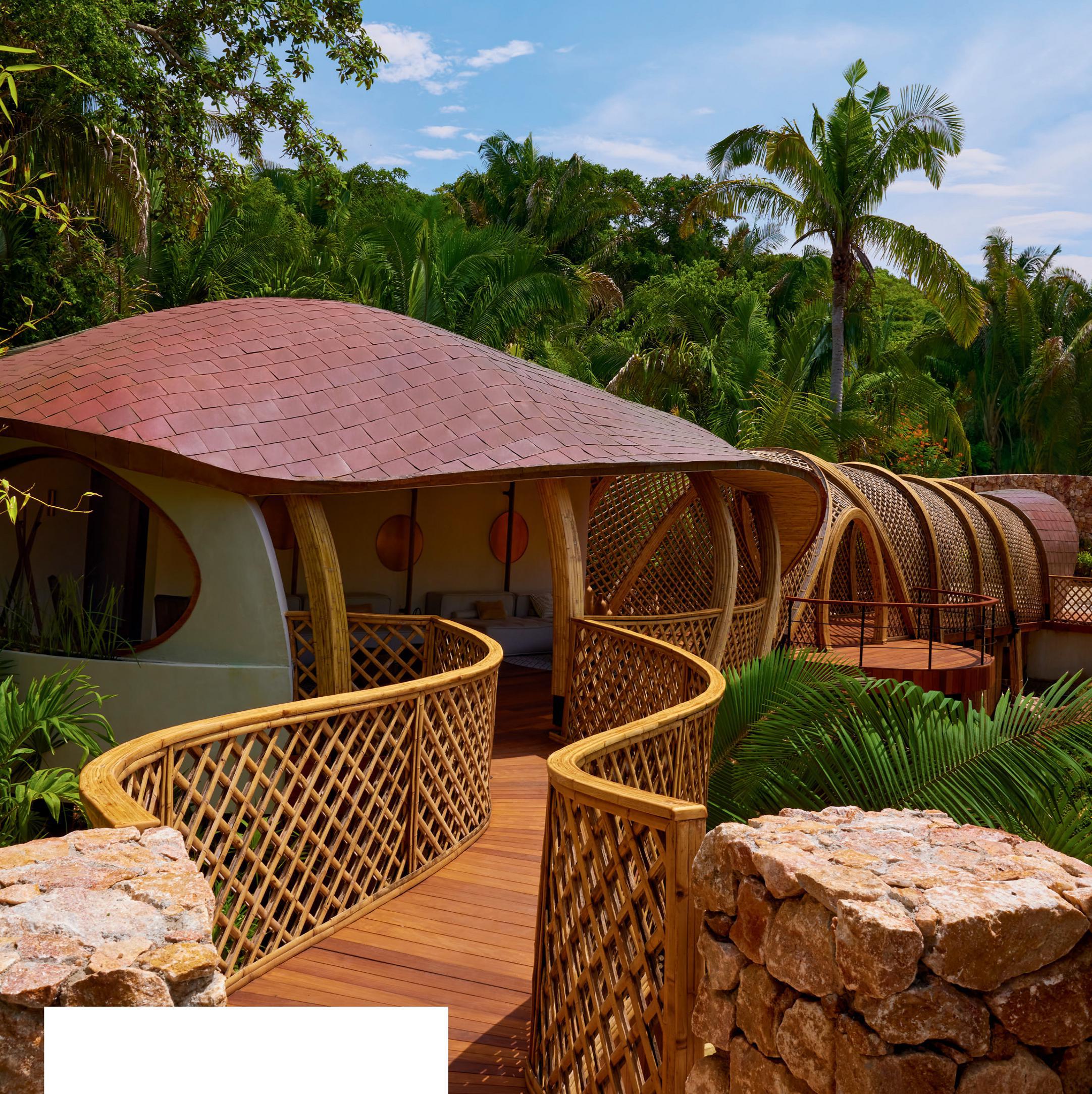 PASSIONS A BLISSFUL ESCAPE FROM DECISION FATIGUE