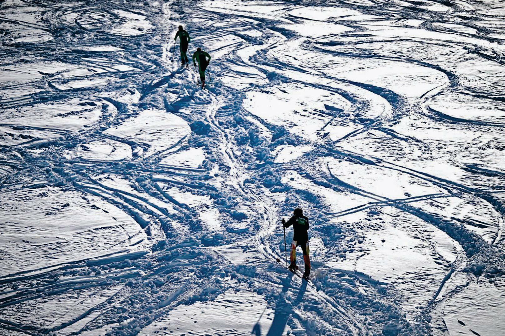 THE DEBUT OF SKIMO