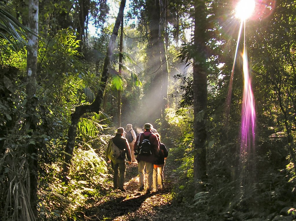 It's a Jungle Out There