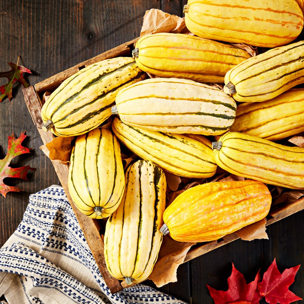 Delicious Delicata