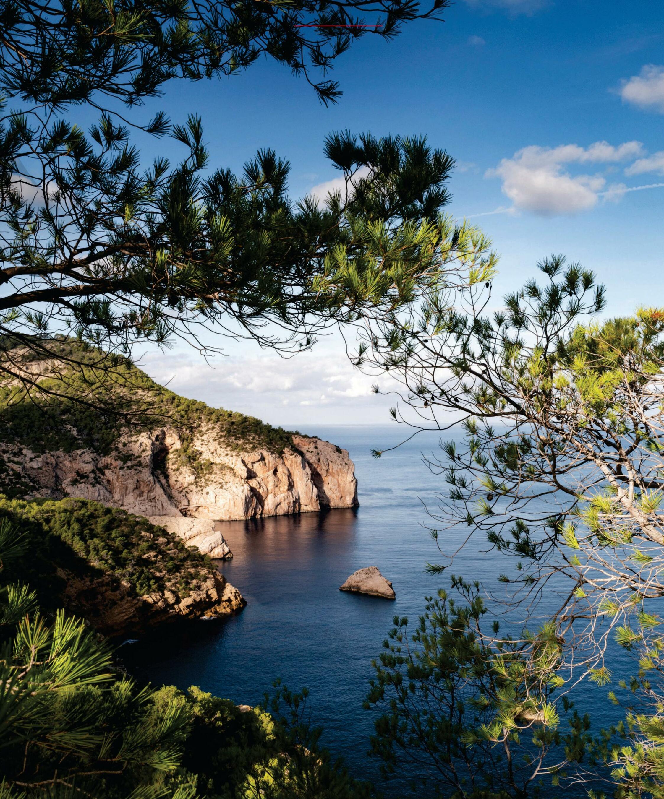 A Tale of Two Islands