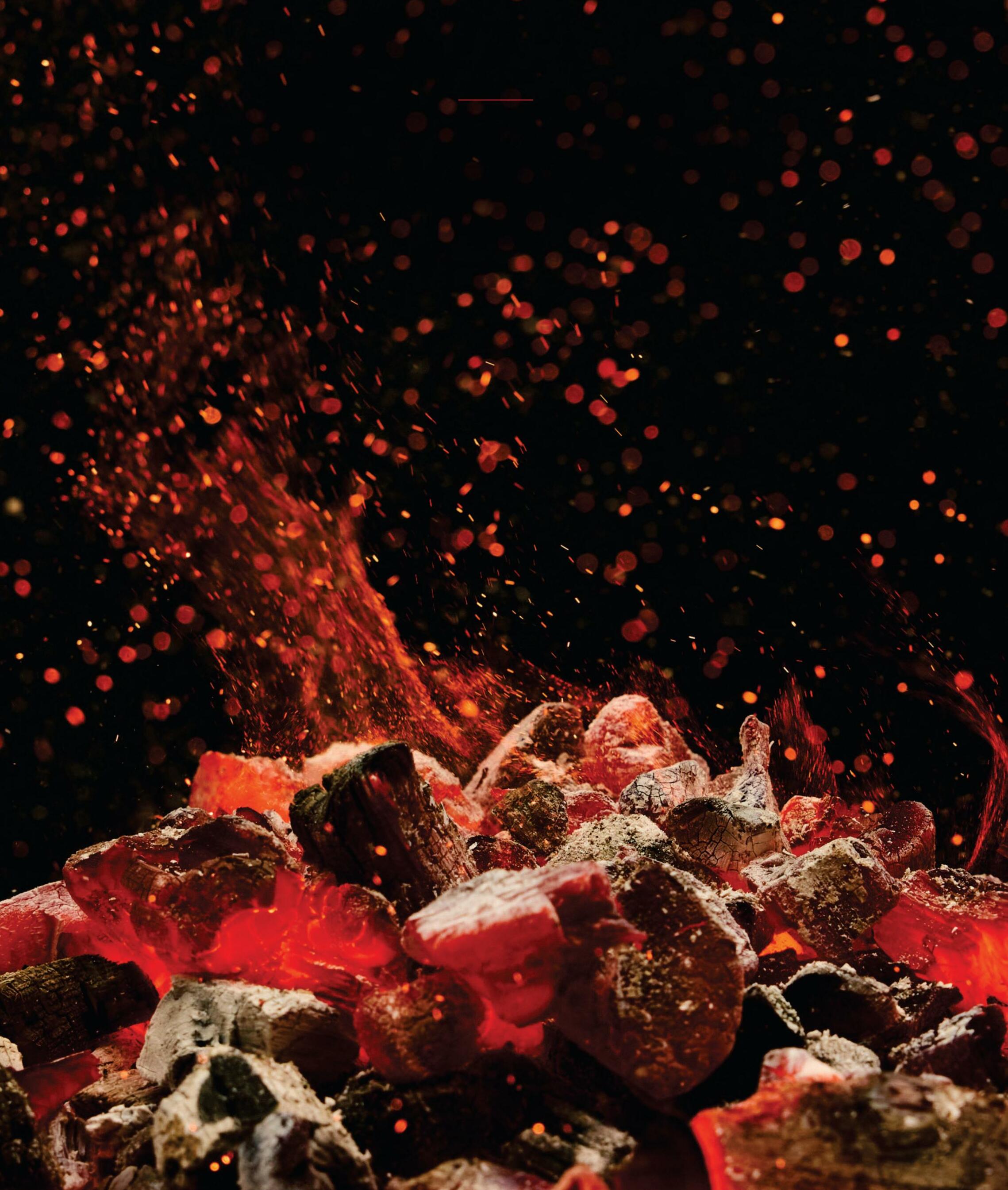 Fuel the Flame