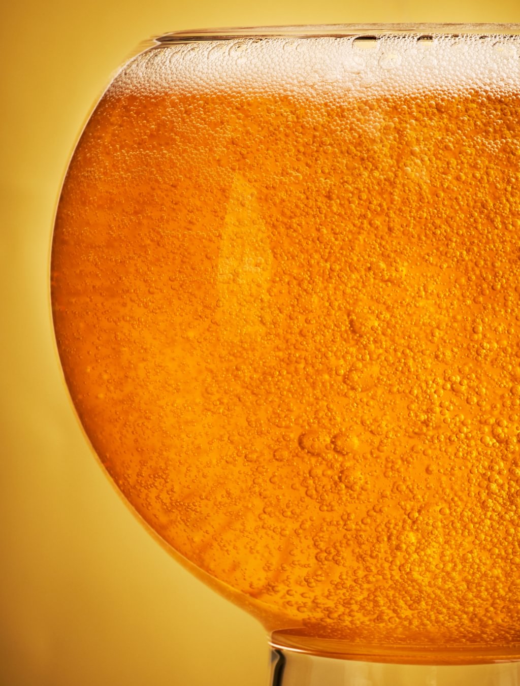 CIDER SEASON