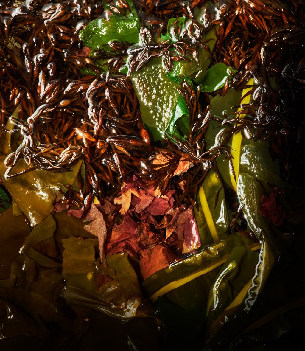 SEAWEED