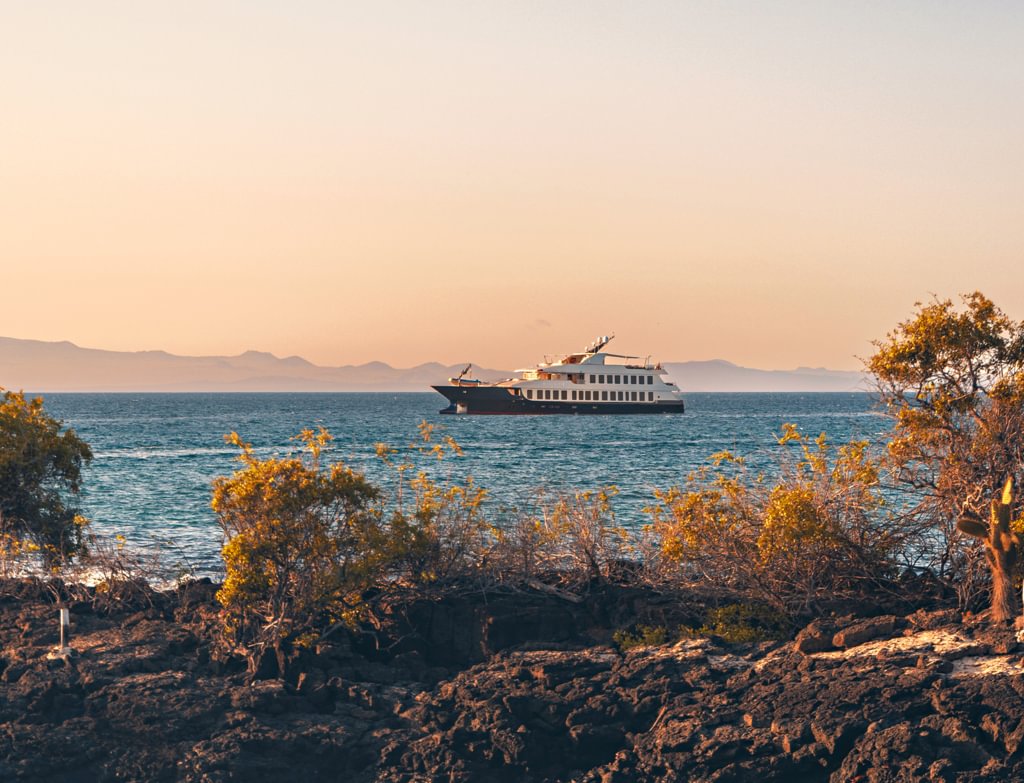 Galápagos Glories