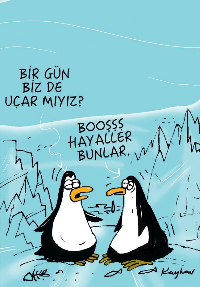 Hayaller