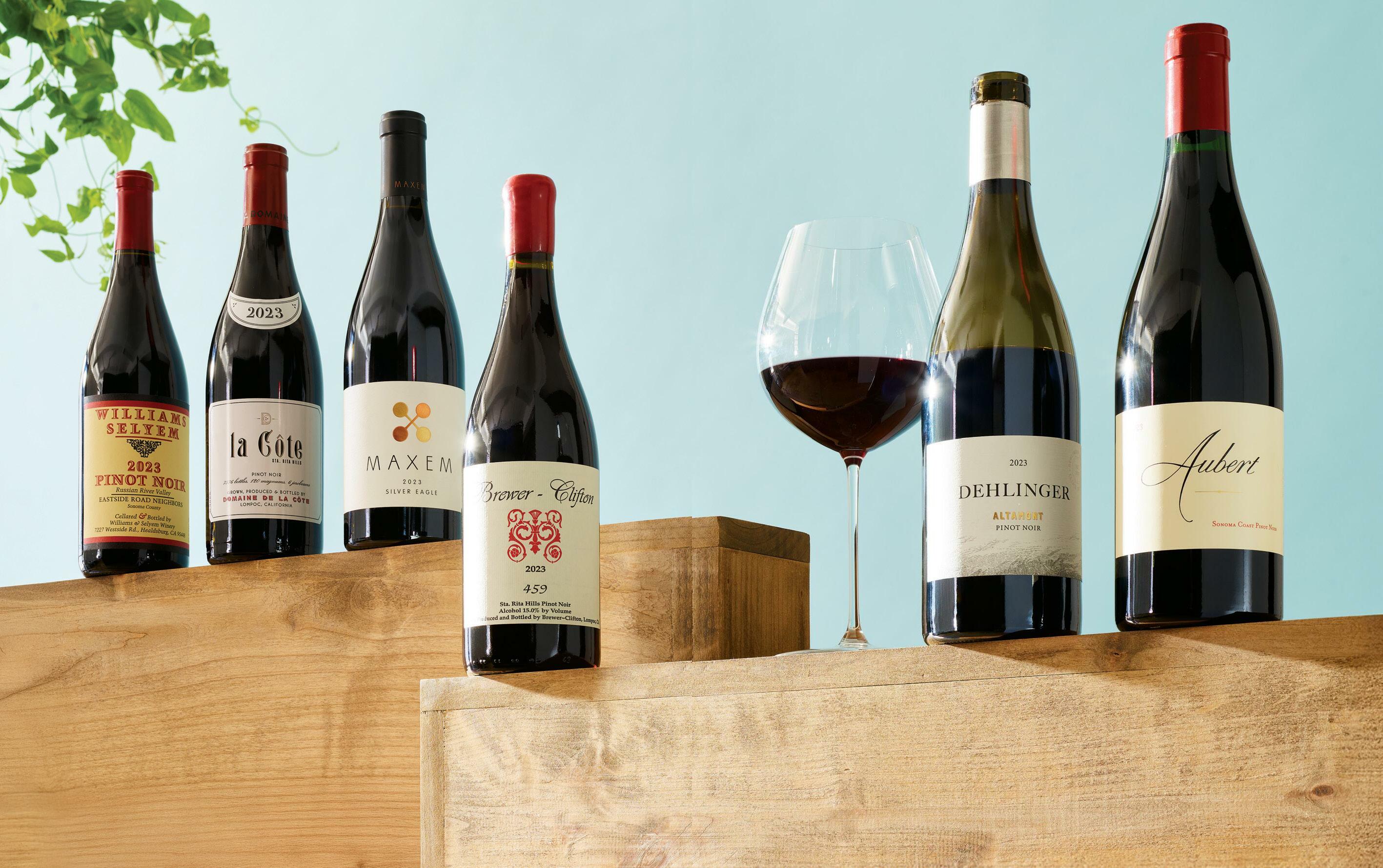 PINOT NOIR ASCENDANT