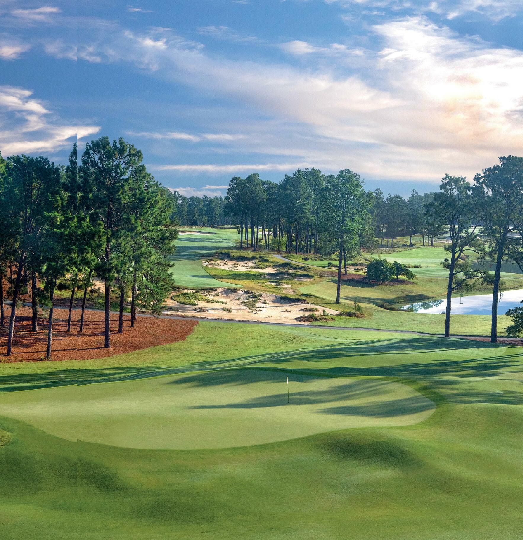 PERENNIALLY PINEHURST