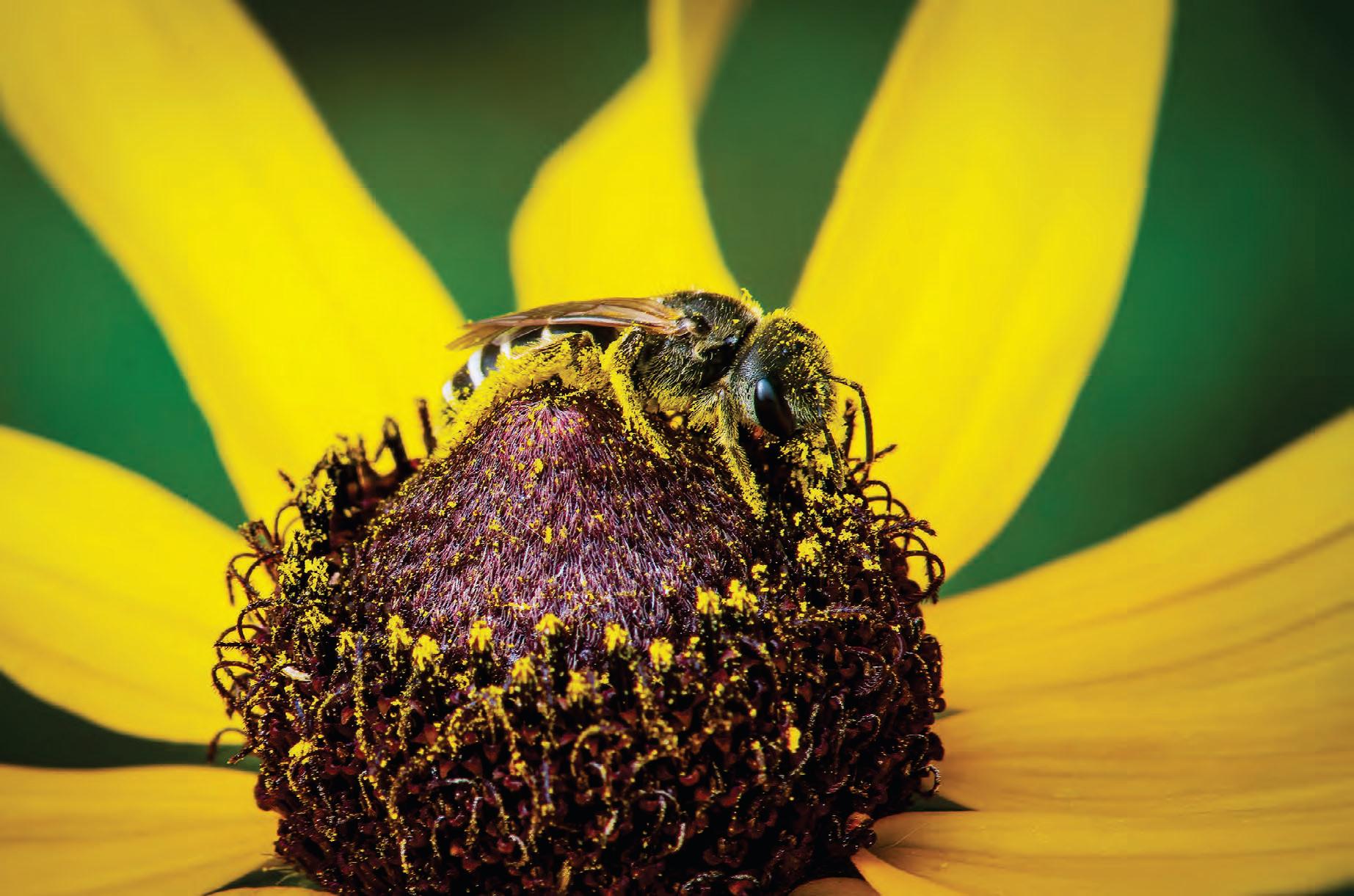 DOING IMPORTANT WORK