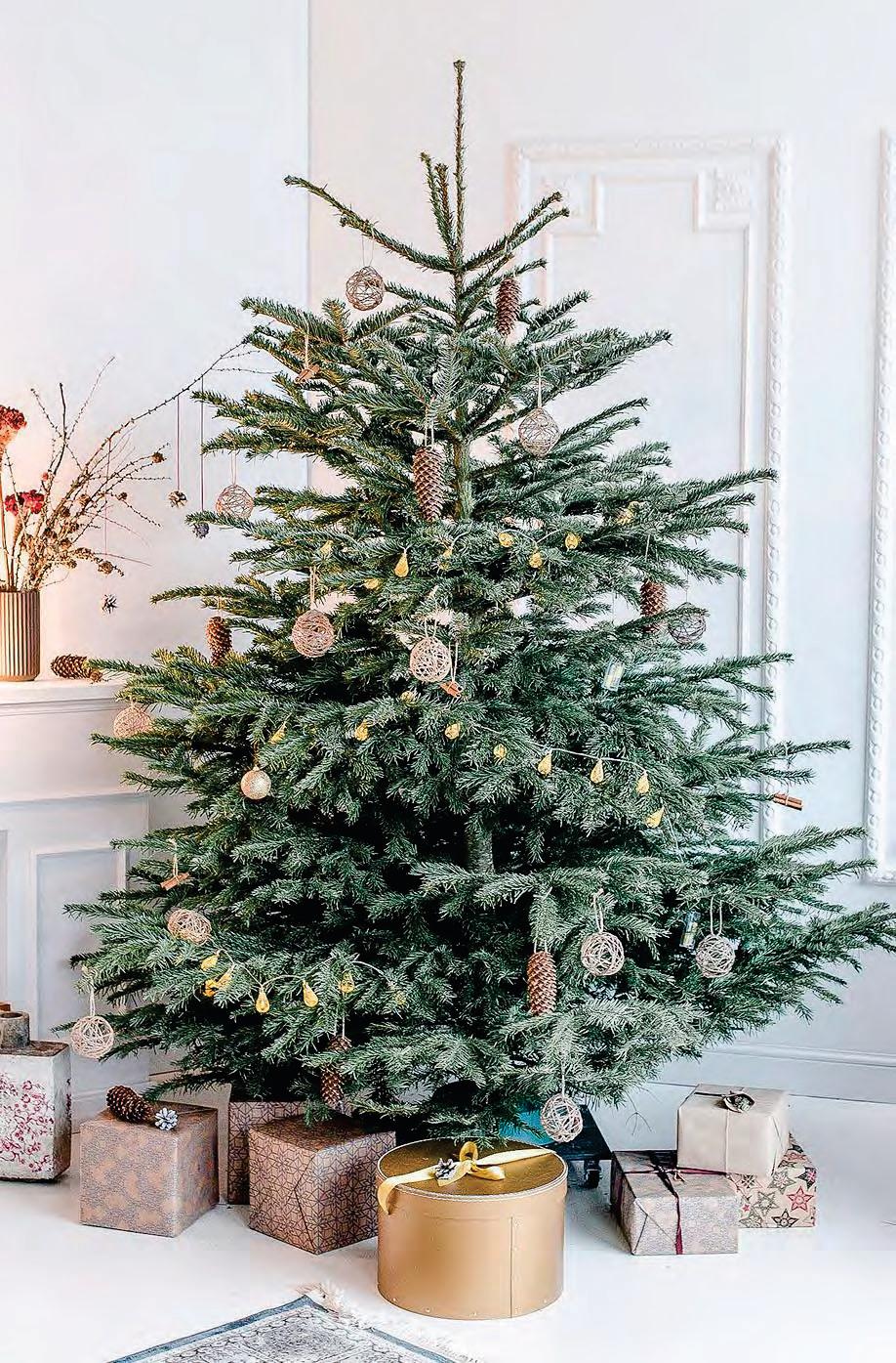 Christmas Tree Do's and Don'ts