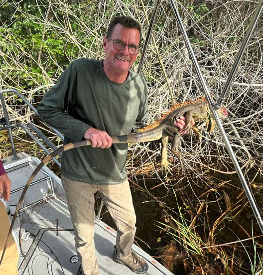 Removing Invasive Species in Florida Iguana Hunting