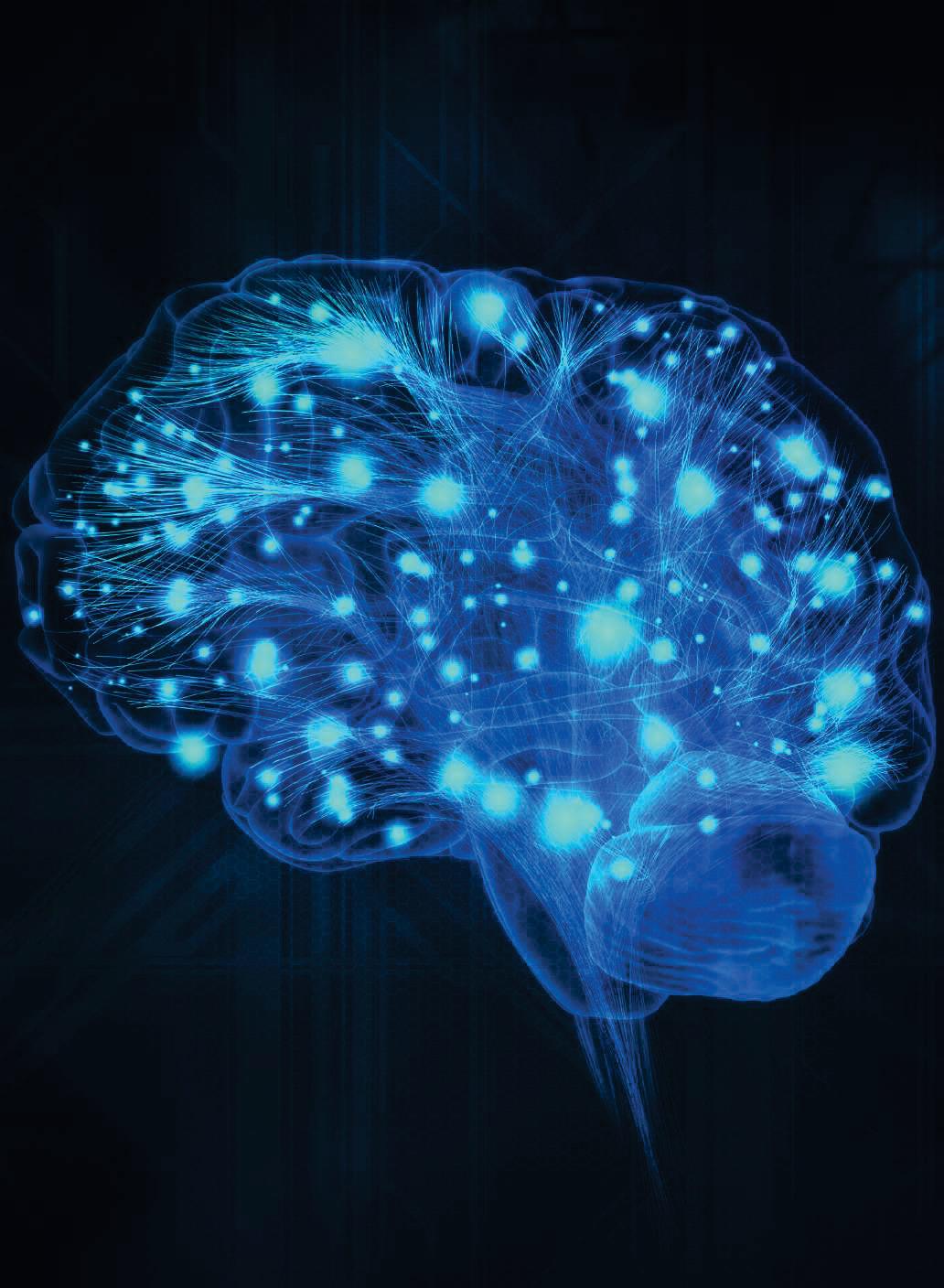 Las neuronas más fit