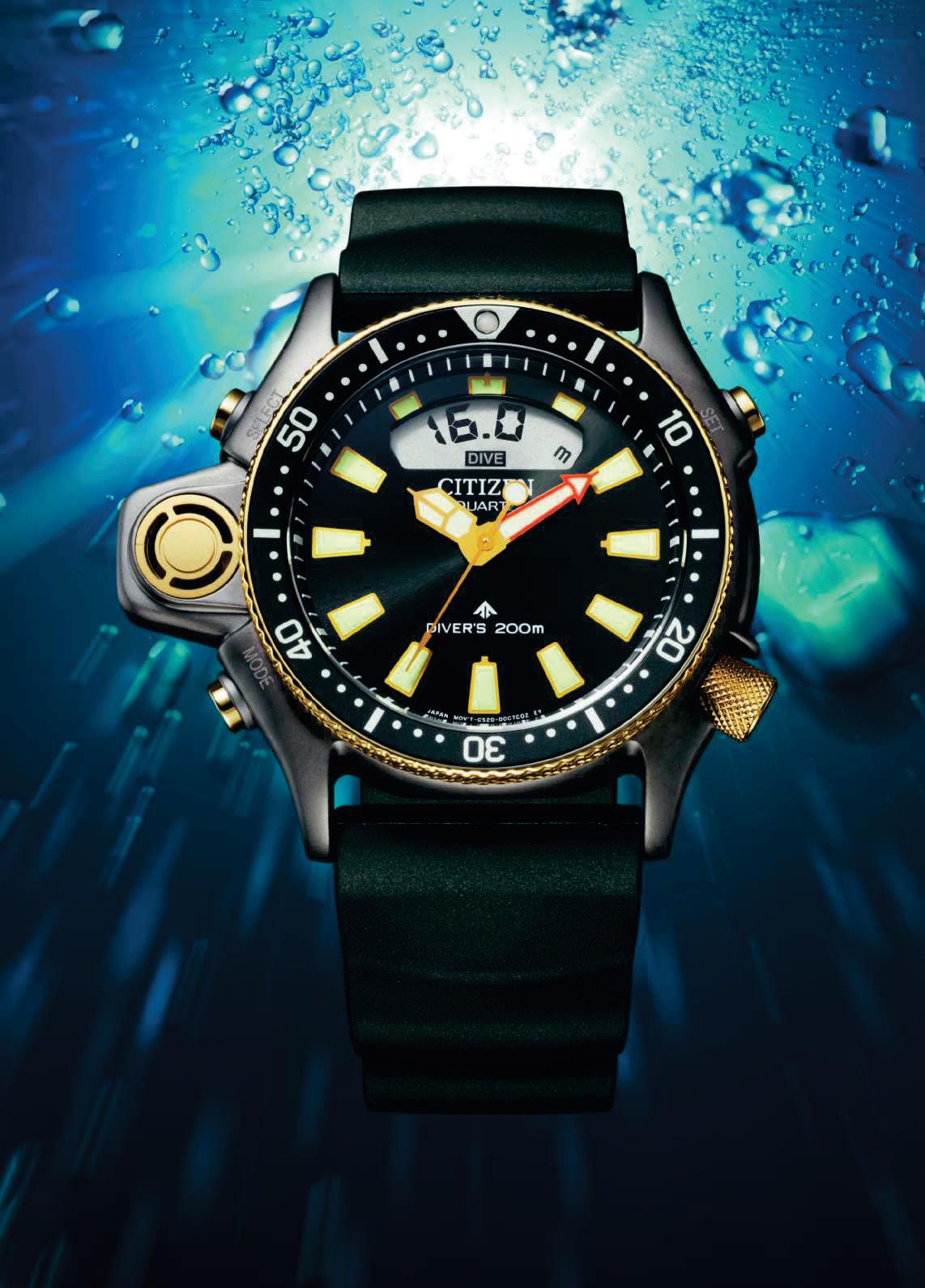 LIFE: Criatura marina