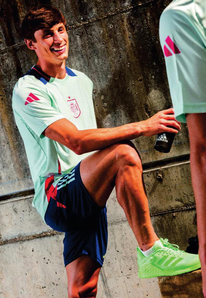 EL MURO DEFENSIVO DE LA ROJA