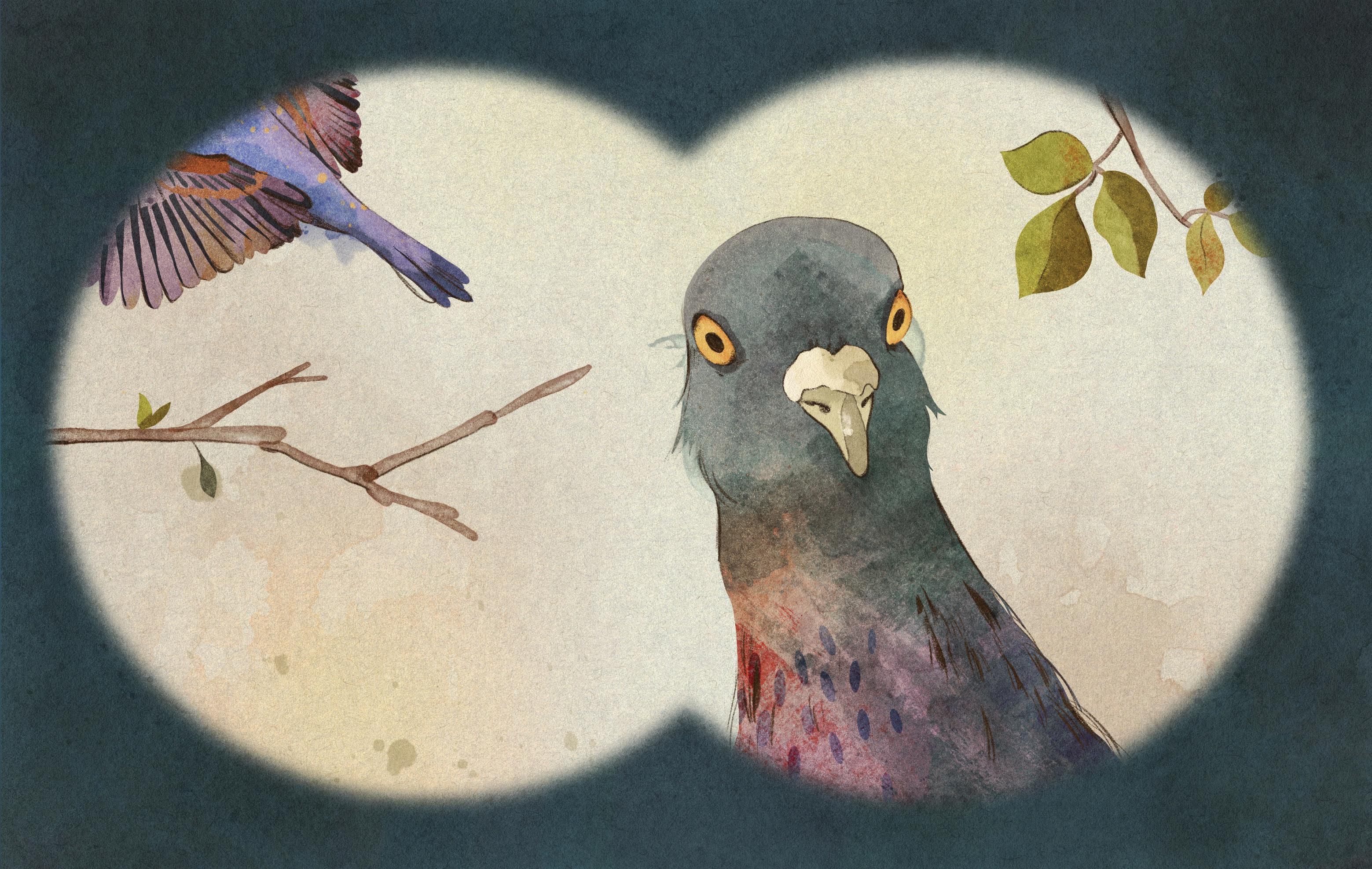 Even Pigeons Are Beautiful