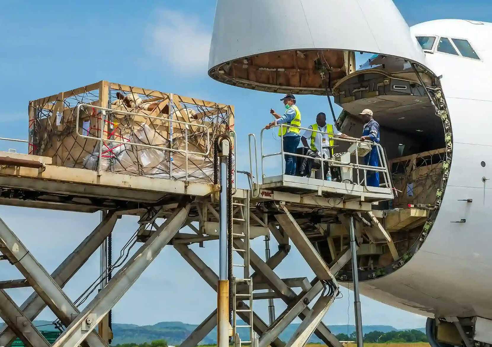EXPRESS CARGO DRIVES GROWTH TRAJECTORY