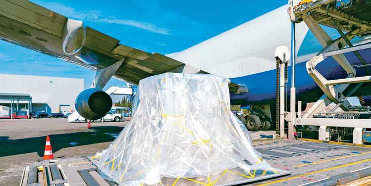 More belly capacity, routes to revolutionise air cargo