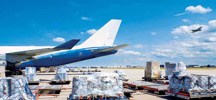 Workforce gears up for next-gen challenges in air cargo sector