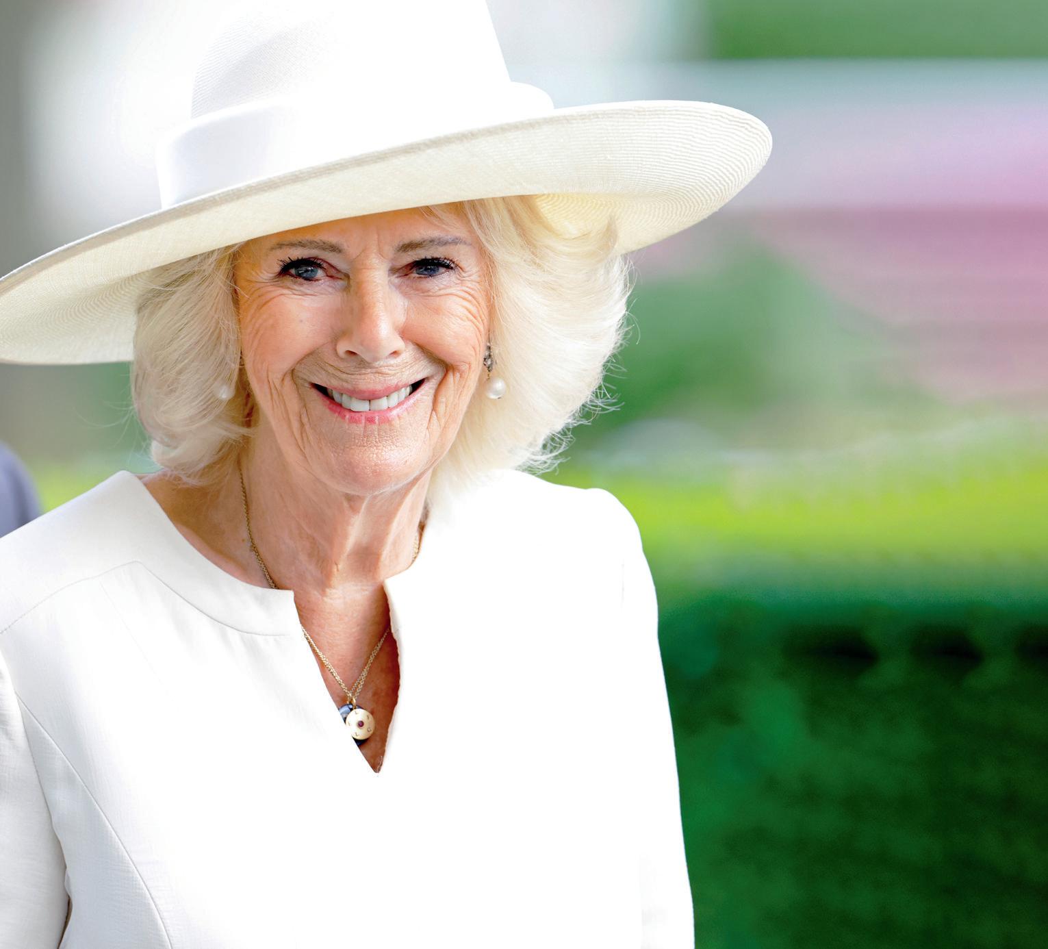 Camilla's ordeal on a train