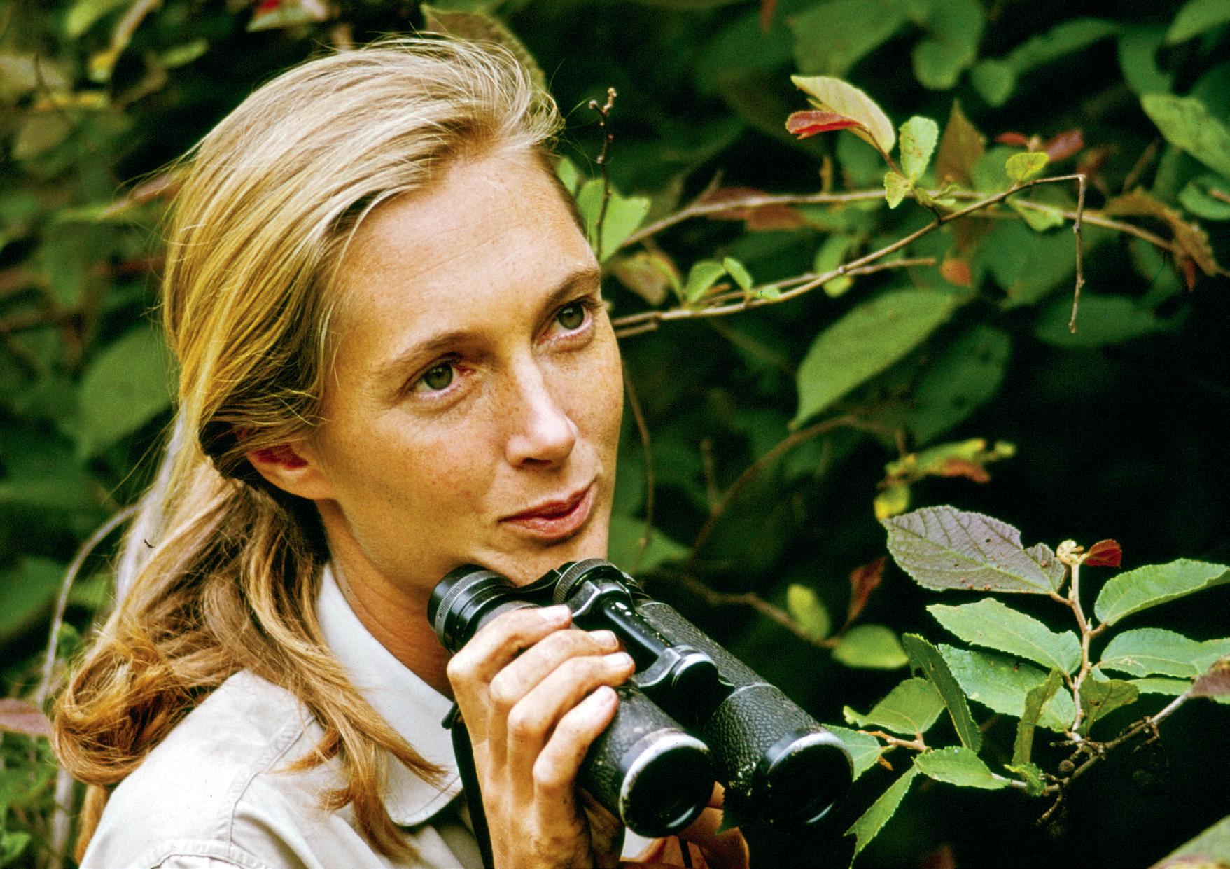 Chimp champion HOW JANE CHANGED THE WORLD
