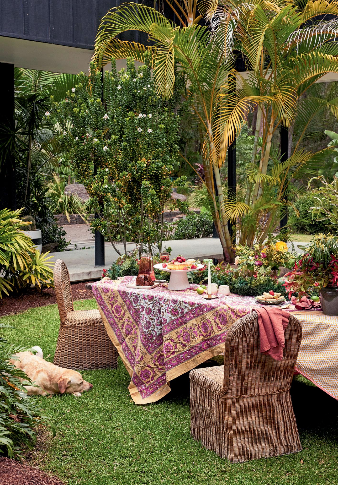 Summer spruce-up BACKYARD BLITZ