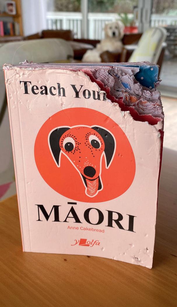 Bite-sized LESSONS