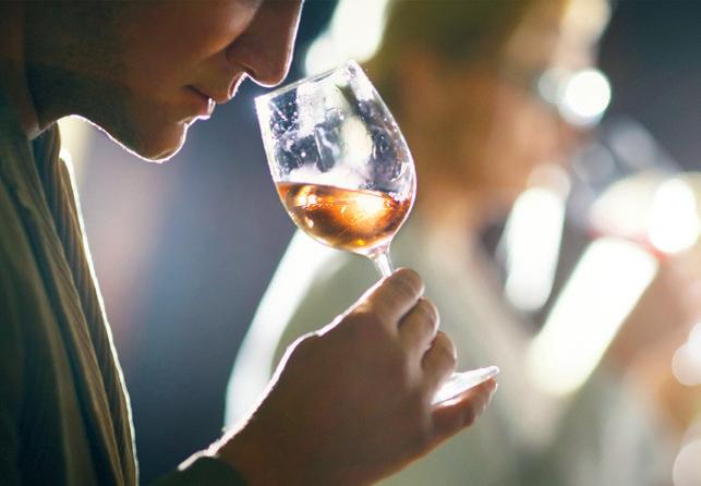 A cerebral experience