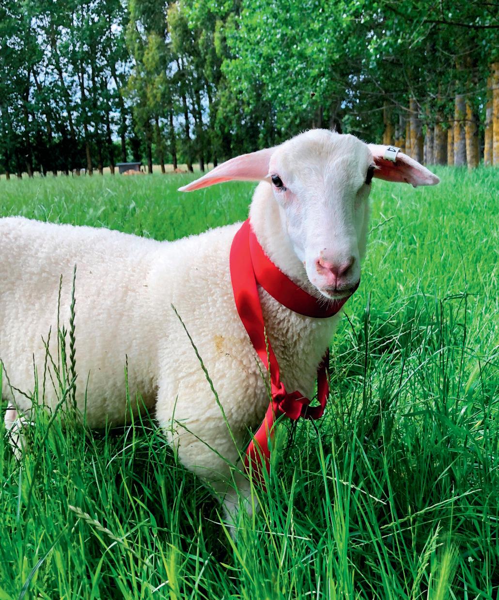 And then there were three