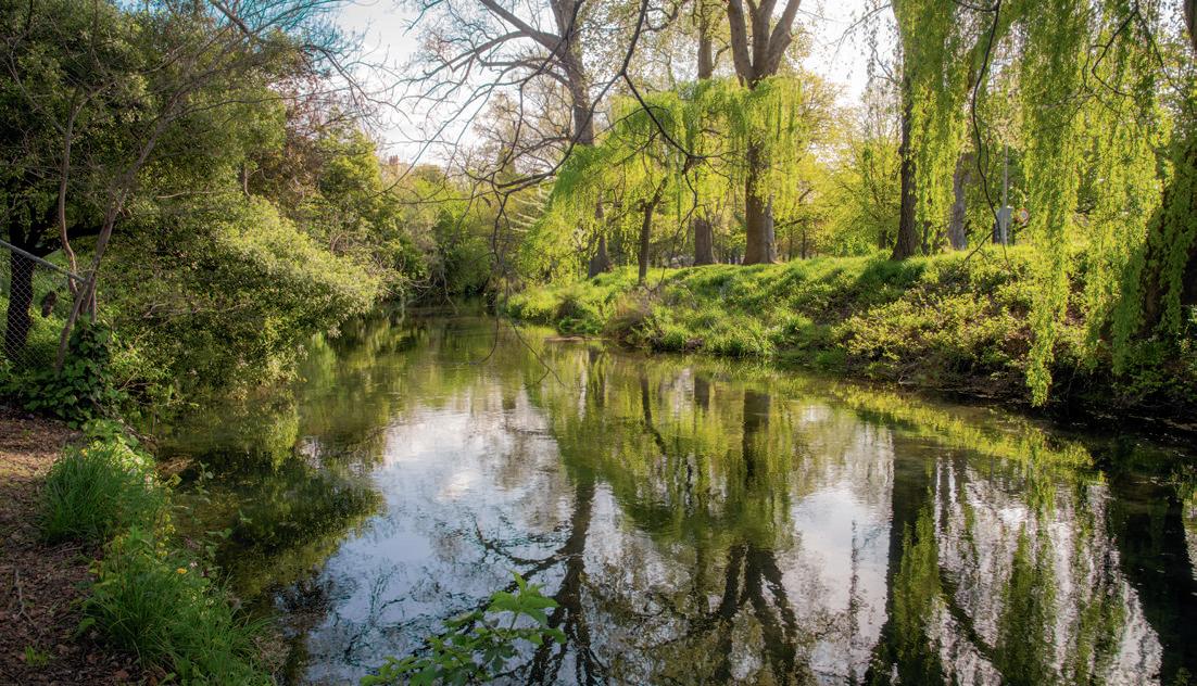 Spread of the super bugs