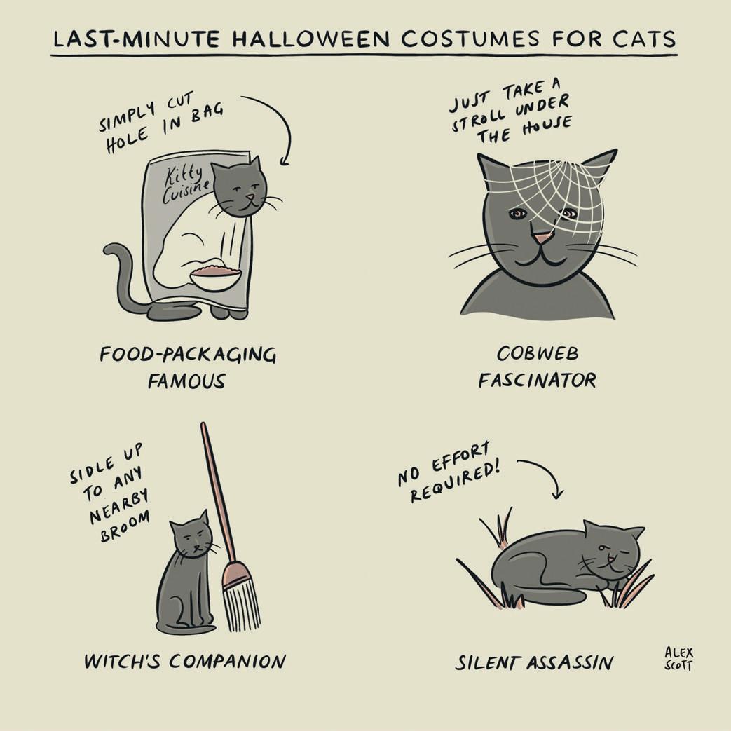 Exclusions and transparency