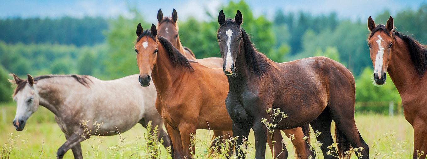 SONNY LOSES HIS COOL