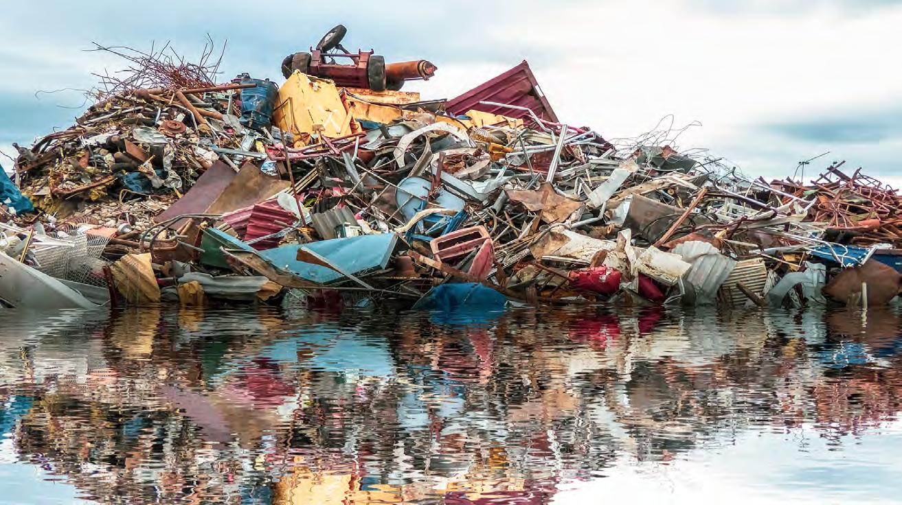HOW ENVIRONMENTAL LOSS SHAPES OUR PSYCHE