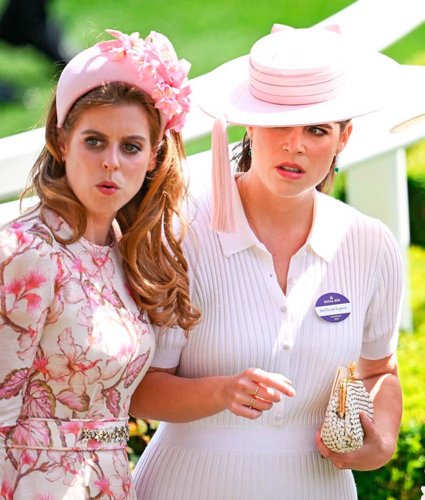 Andrew Mountbatten Windsor DOWNFALL of a DUKE