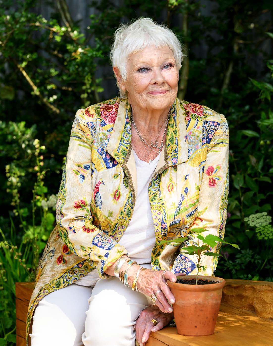 JUDI DENCH - SAD HEALTH UPDATE