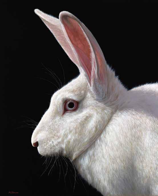 Beauty and vulnerability