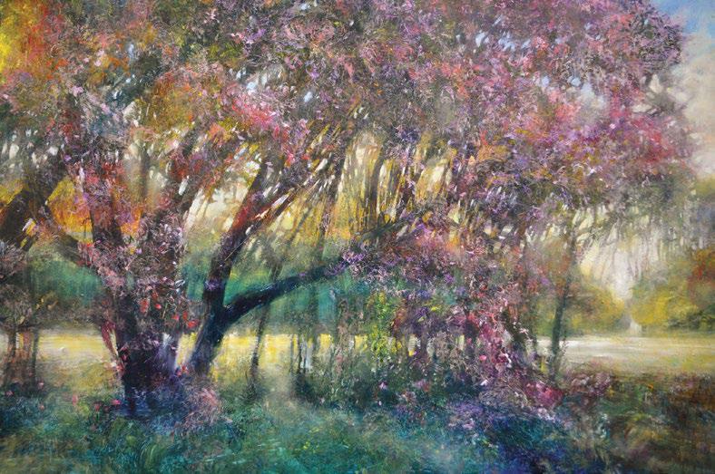 Shifting Perceptions