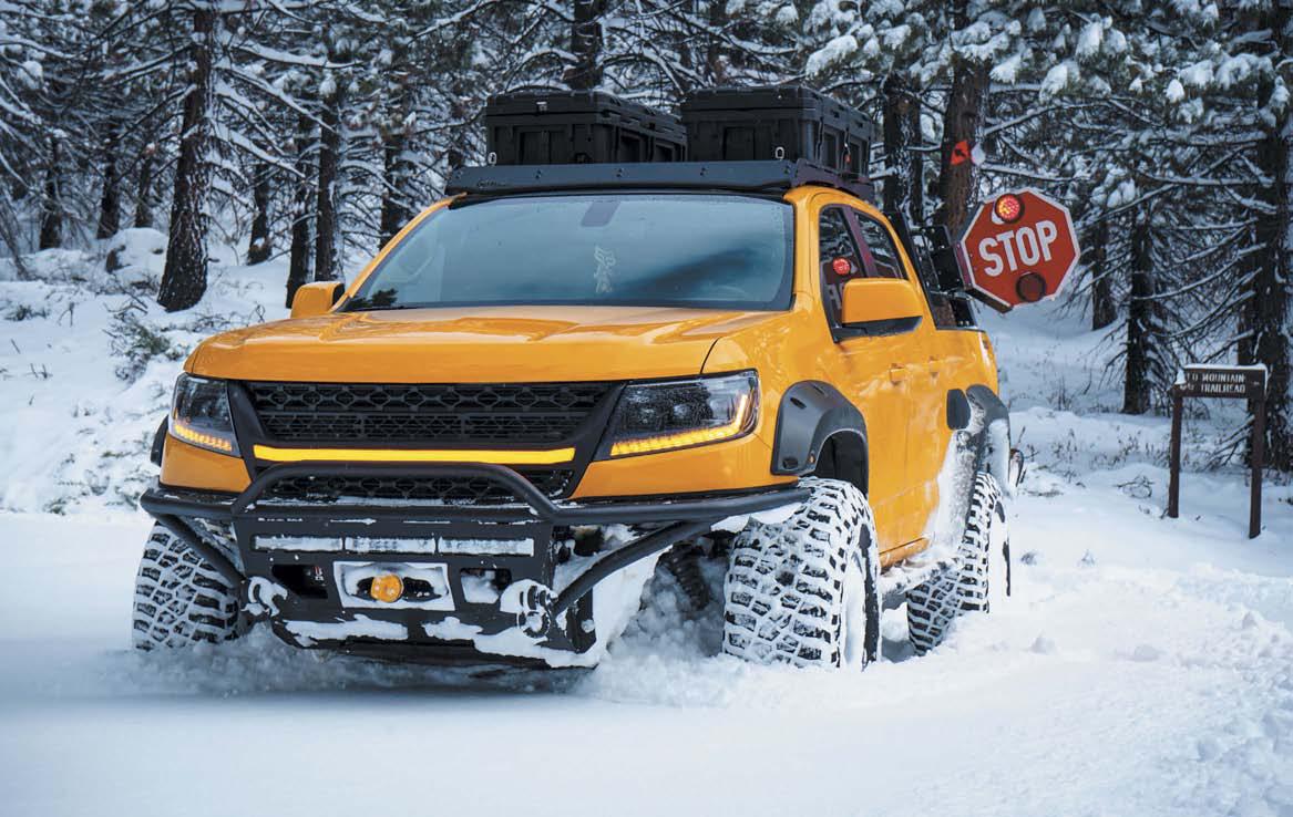 THE MAGIC SCHOOL BUS