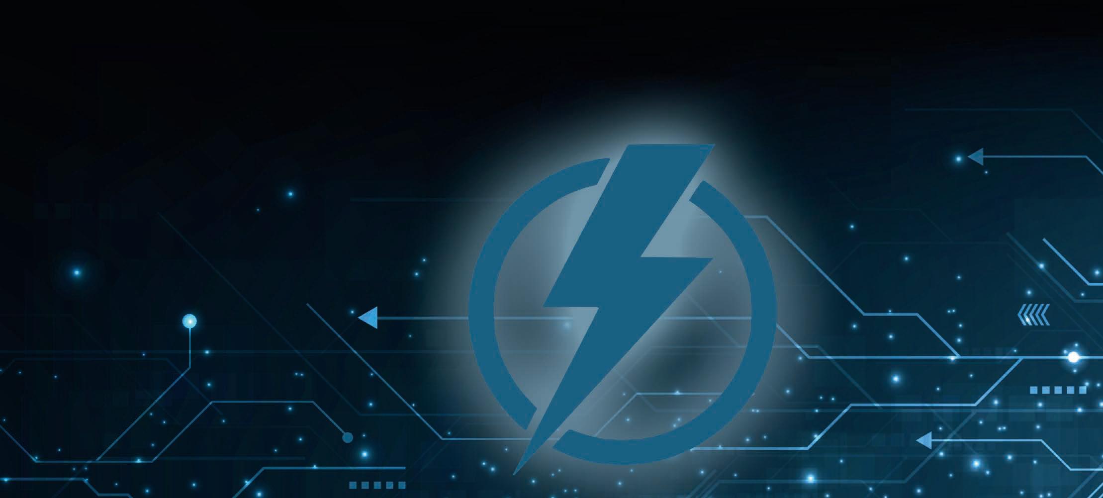 Datasheet: Power Quality Monitoring Watching the Peaks and Valleys