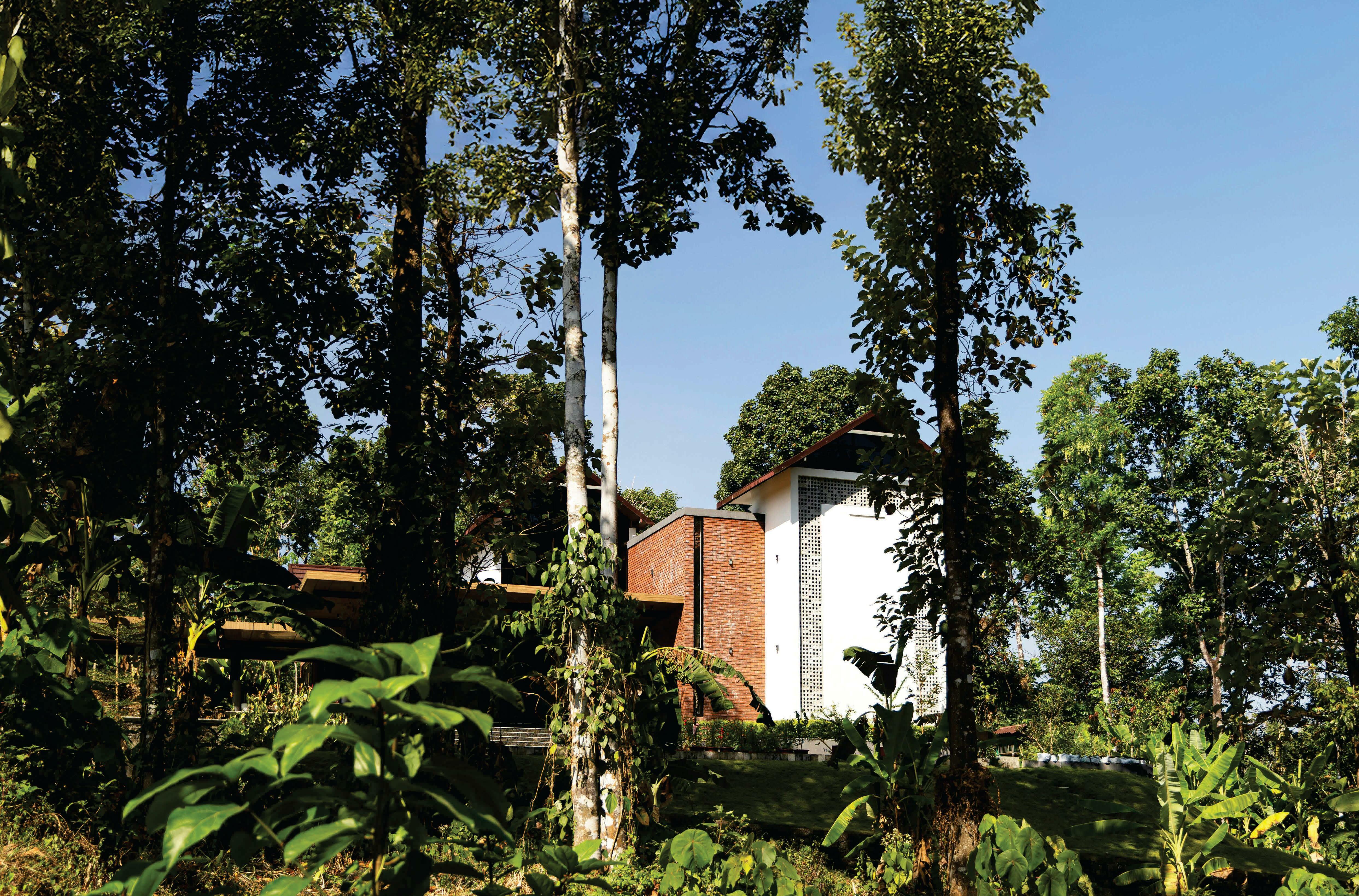 WHEN ARCHITECTS HIRE ARCHITECTS