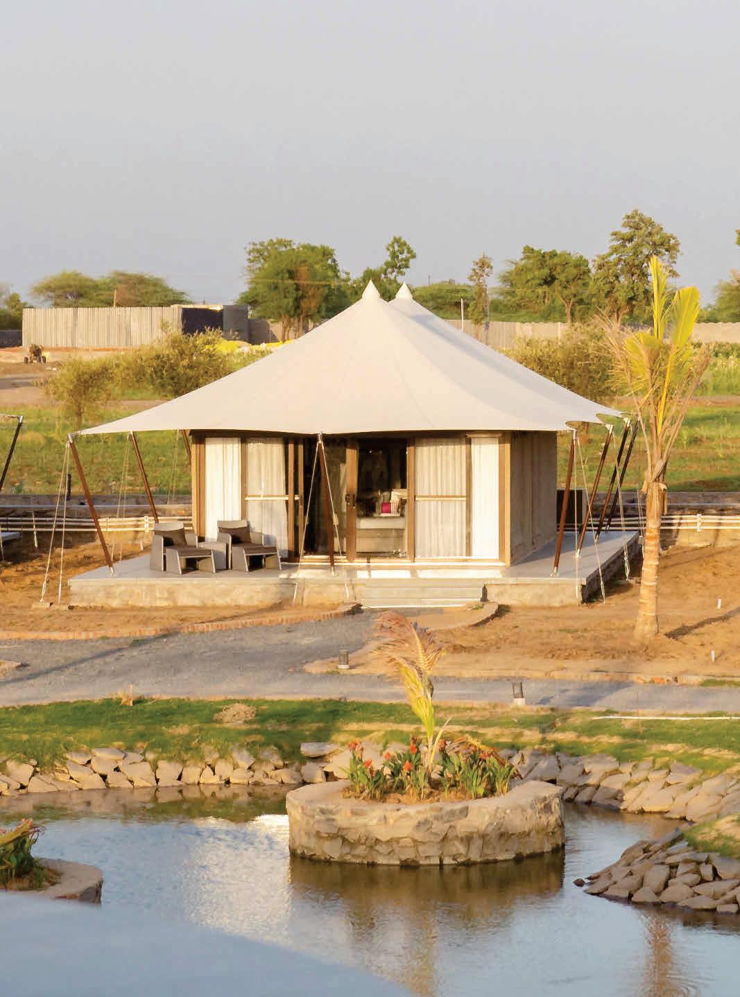 Farm to Table to Tent