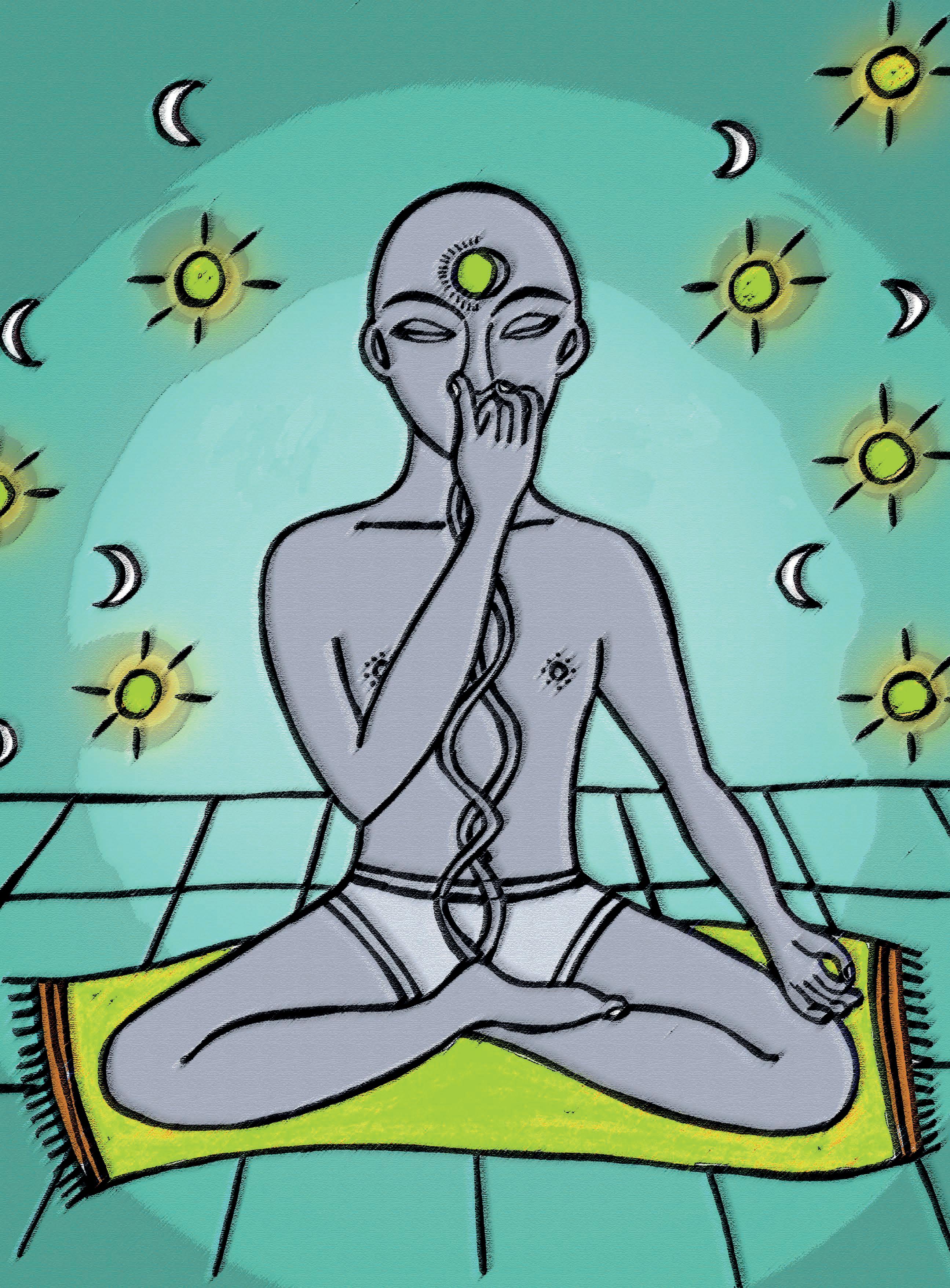 La historia oculta del HATHA YOGA Los Naths. Alquimistas del Yoga