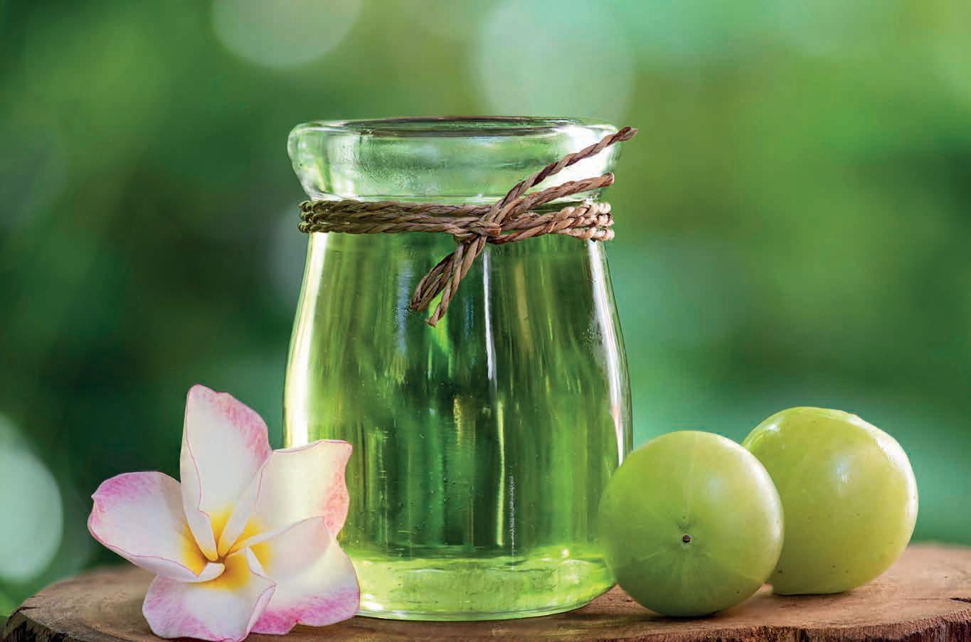 bellez Ayurveda