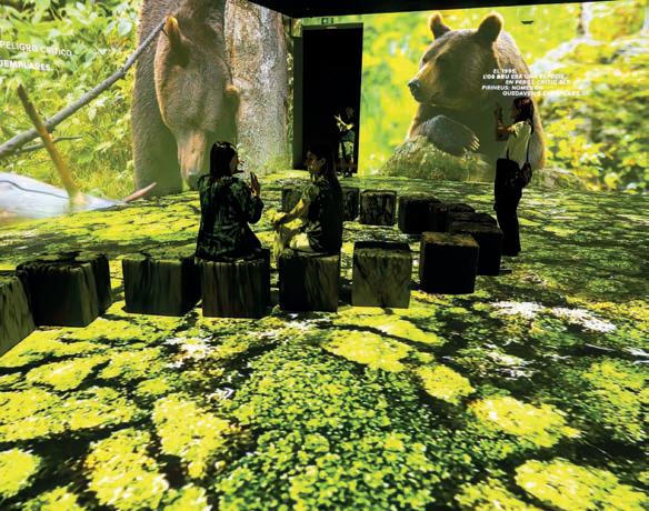 EXPOSICIÓN SOMOS NATURALEZA - Un viaje inmersivo al corazón de la vida