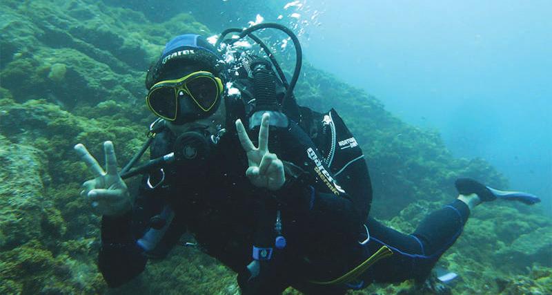Marine biology: Highly-specialised SEAFARING VOCATION