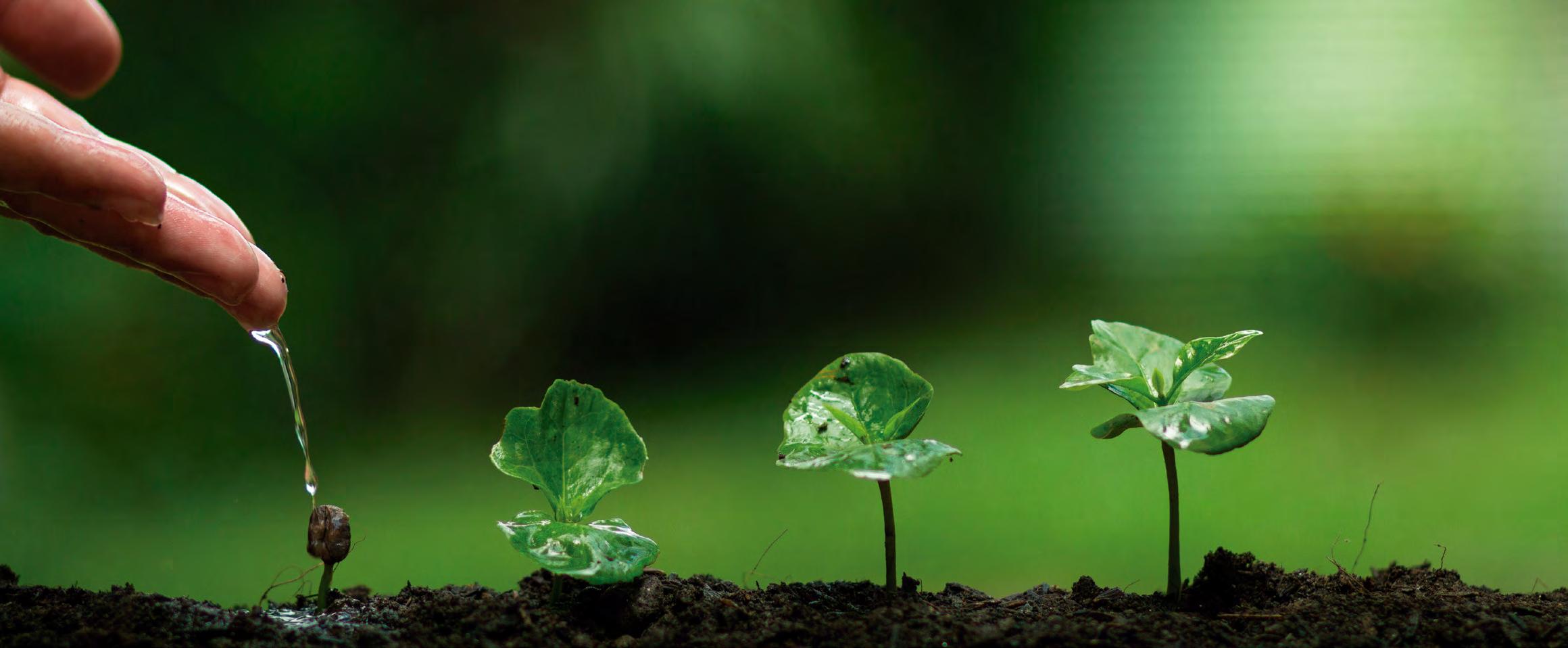 CAMBIO CLIMÁTICO Y MARKETING CON PROPÓSITO