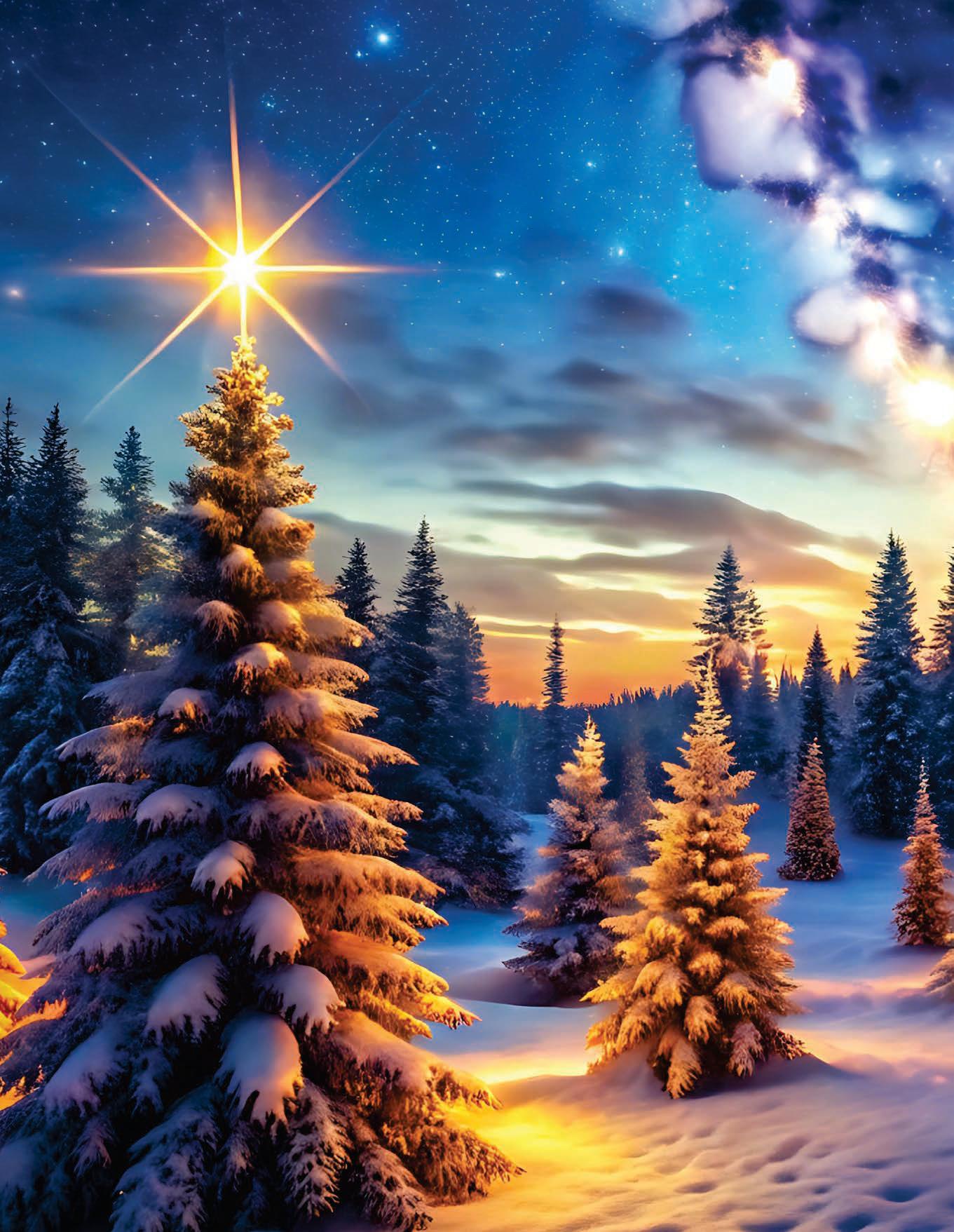 Fabulous FESTIVE flora