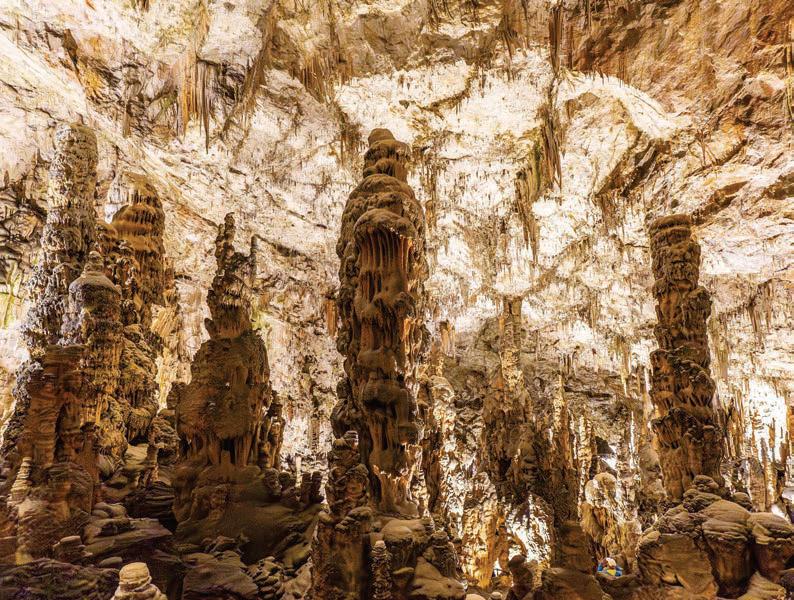 Stalagmites adhere to a single mathematical rule